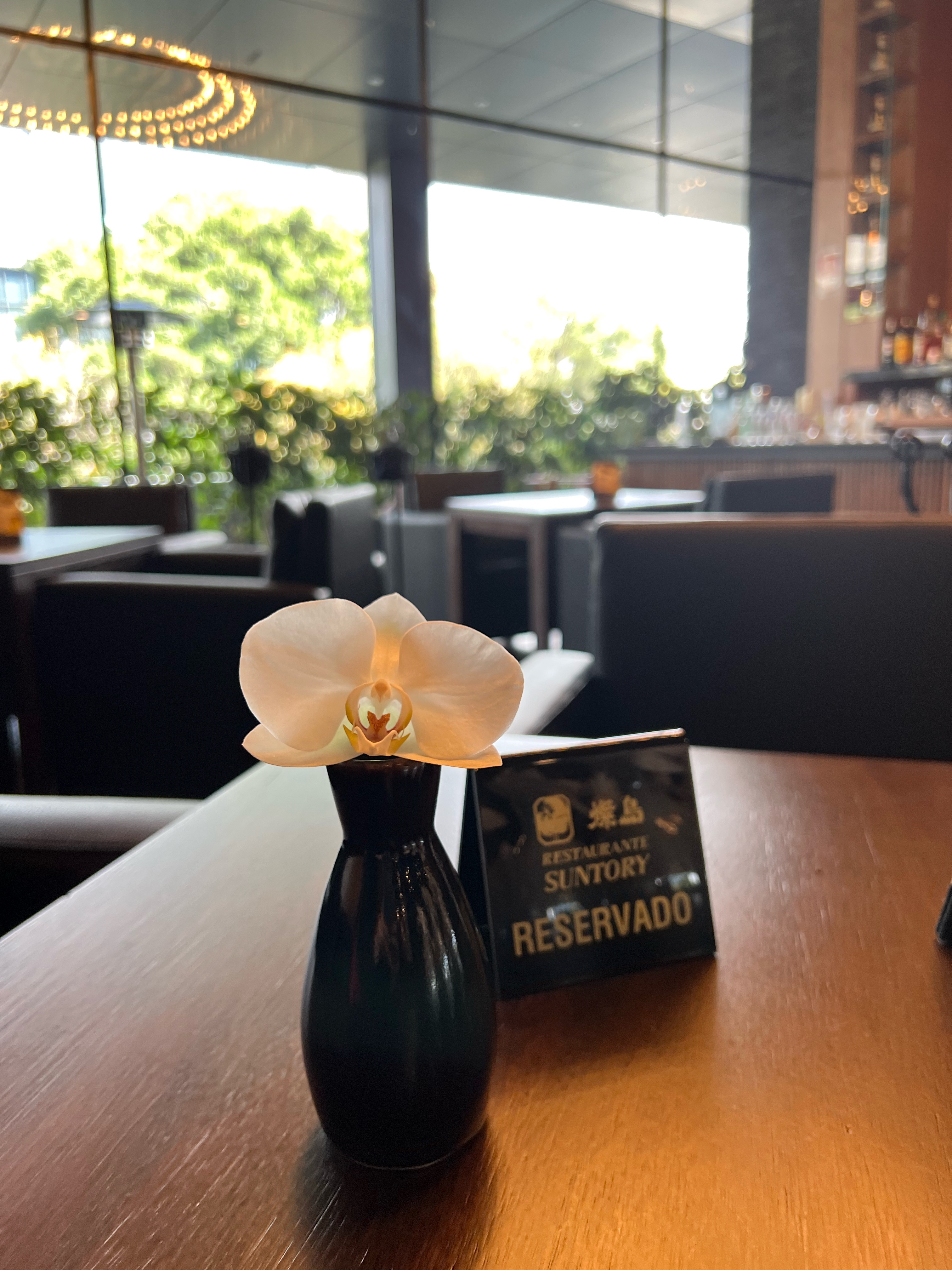 Servicios Corporativos