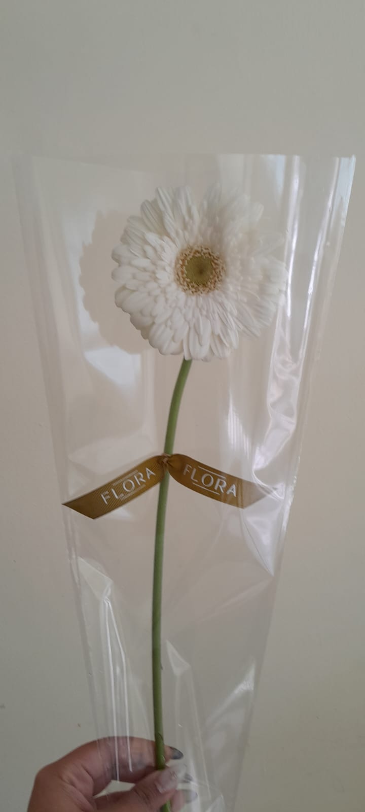 Servicios corporativos